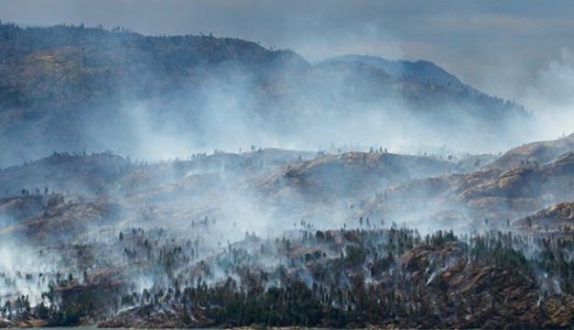 Unprecedented Wildfires in 2023: A Call for Innovative Solutions in British Columbia